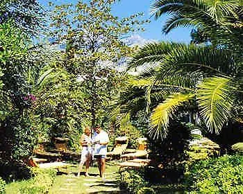 Angela Hotel&spa 3* Forio di Ischia